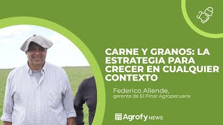 EL PINAR AGROPECUARIA la estrategia para crecer con granos y carne en CUALQUIER CONTEXTO [upl. by Einnod825]