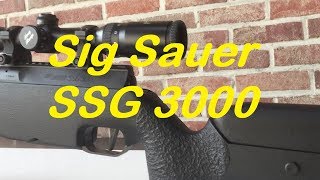 SIG Sauer SSG 3000  Schmidt amp Bender 416x50  110 Yards [upl. by Nirrac]