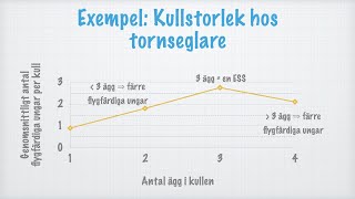 ESS och social organisation [upl. by Goldshlag]