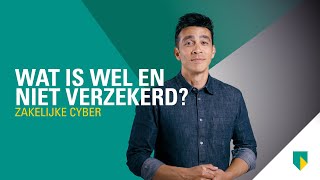 Wat dekt een zakelijke cyberverzekering  ABN AMRO Verzekeringen [upl. by Himelman]