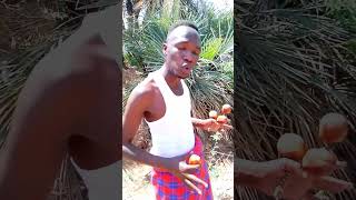 welcome Turkana county funny comedy [upl. by Sregor]