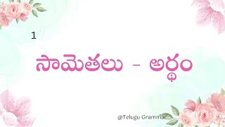 అర్థంతో కూడిన సామెతలు సామెతలు ద్వారా జీవితం అర్థం చేసుకోవడం By Telugu Grammar sametalu [upl. by Brezin]