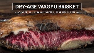 I Dry Aged a WAGYU BRISKET and it blew my mind [upl. by Imre592]