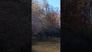 Peace and serenity on the Tallapoosa River [upl. by Immanuel933]