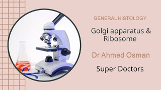 Golgi Apparatus amp Ribosome Cytology General Histology [upl. by Ocsic354]