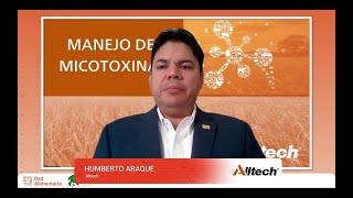 Programa de manejo de micotoxinas en cerdos [upl. by Ainimreh]