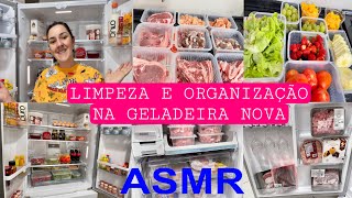 COMPRA DO MÊS LIMPEZA NA GELADEIRA NOVA ASMR  SEPAREI TODAS AS CARNES VERDURAS 🥬 E FRUTAS 🍈 [upl. by Punak]