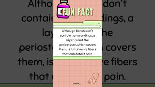 😱 Surprising Fact This Body Part Can Feel Pain Without Nerve Endings mededtrivia quiz biology [upl. by West]