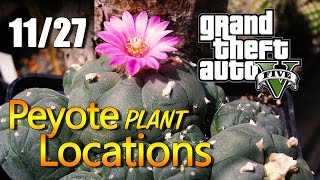 GTA 5 7 Golden Peyote plants found and location [upl. by Ahsial126]