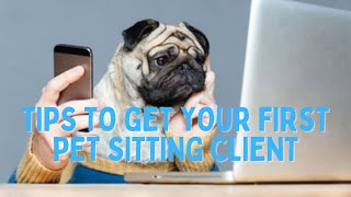 Pet sitting How to get your first client [upl. by Eldnek]