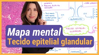 Faça um MAPA MENTAL junto comigo TECIDO EPITELIAL GLANDULAR [upl. by Lonee]