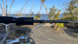 Lure Fishing at Nudgee Beach  difficult conditions but still caught fish [upl. by Abagael]