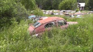 Car graveyard Båstnäs [upl. by Emrich]