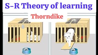 SR Theory of learning Thorndike in BEd  Trial and Error theory  learning and Development 🐱 🐟 [upl. by Ytsirt]