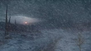 Heavy Blizzard Sounds for Deep Sleep Relieve Stress❄️ Winter Snow Ambience ❄️ Snowstorm [upl. by Drauode564]