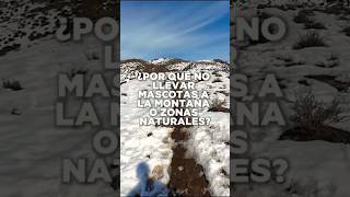 🚫¿Por qué no llevar mascotas a la montaña o zonas naturales🐕 trekkingchile senderismo ecoturismo [upl. by Hylton]