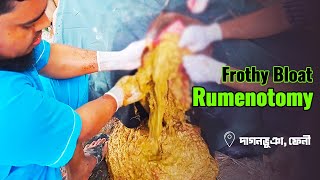 Rumenotomy in Frothy Bloat  Dr Md Abu Bakar Ahad [upl. by Yklam306]