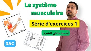 3AC  Le système musculaire🔥Exercices 🔥 تمارين في الجهاز العضلي [upl. by Luapnoj262]