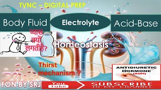 ADH ANTI DIURETIC HORMONE THIRST MECHANISM  Lec02 FLUID ELECTROLYTE ACIDBASE BALANCE [upl. by Fadas]