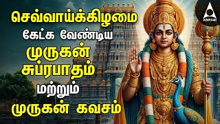 Tuesday Powerful Murugan Suprabatham And Muruga Kavasam  Murugan Bakthi Padalgal [upl. by Grissom]