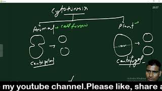 Cell divission  Cell cycle  Mitosis and meiosis  class9 and other exam [upl. by Arema]