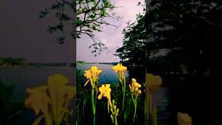 Barsat ke din aaye Mulakat Ke Din Aaye🌦🌦🌧 barishstatus barsaat youtubeshorts mausam nature [upl. by Nealon200]