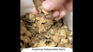 bulk high quality radix angelicae tuhuo natural dried Angelicae Pubescentis Radix herbalrcom [upl. by Ailaza211]