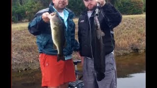 Snakehead and Largemouth Bass Fishing with Captain Shane [upl. by Anitsirt]