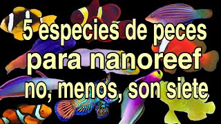 5 especies de peces para nanoreef [upl. by Neiluj]