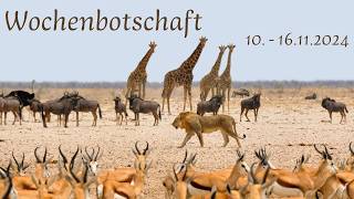 Wochenbotschaft 10  16112024 [upl. by Acinomahs]