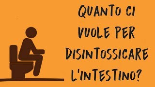 Quanto ci vuole per disintossicare lintestino [upl. by Ridan]