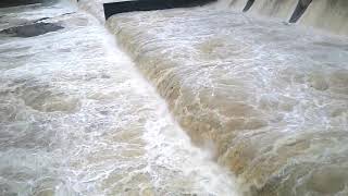 Farakka Dams water release [upl. by Carry]