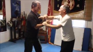 Sifu Ian Protheroe and Dave Channon Chi Sao Practice [upl. by Howell391]