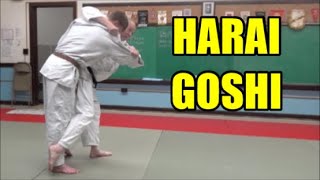 HARAI GOSHI Using Your Arms amp Legs Effectively [upl. by Nylidnam952]