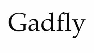 How to Pronounce Gadfly [upl. by Anitnelav]