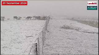 Snow in Mooi River  20 September 2024 [upl. by Idnir935]