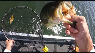 Gant Outdoors A big bass in a small town Lee Lake Cazenovia Wisconsin Richland County [upl. by Soutor]