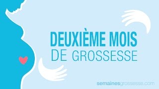 Deuxième mois de grossesse  Mois 2 de grossesse  La grossese mois par mois [upl. by Oates]