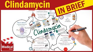 Clindamycin  Cleocin  What is Clindamycin Used For Dosage Side Effects amp Precautions [upl. by Lertnahs]