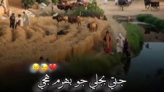 Sindhi Poetry  Beautiful Poetry  Sindhi Poetry Voice Zameer Lund  Hamza Khoso [upl. by Muhcon]