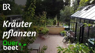 Kräuter pflanzen [upl. by Gibe]