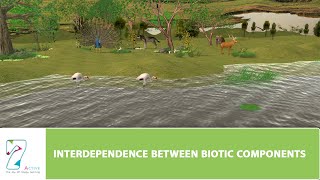 INTERDEPENDENCE BETWEEN BIOTIC COMPONENTS [upl. by Vivle]