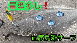 【鹿島灘サーフ】イナダ祭りの後はコイツが待っている❗️釣り 鹿島灘サーフ ヒラメ [upl. by Cyn352]