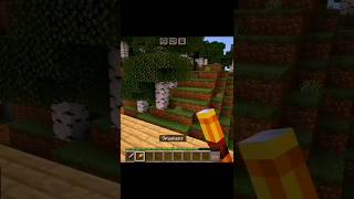 Minecraft run povwither skeleton minecraft witherskeleton run chipichipi [upl. by Hannala]