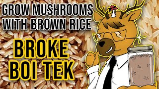 EASIEST Way to Grow Mushrooms  Broke Boi Tek [upl. by Edobalo513]