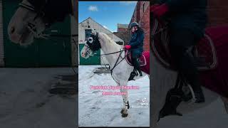 Titanium Mask Review titaniummask horse equestrian equestrianjourney horsegirl [upl. by Amahcen]