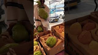 Sukkot Holiday Market Tel Aviv Israel  Etrog 🇮🇱 Israel TelAviv Sukkot [upl. by Ralina677]