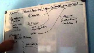 Introduction to Externalist Epistemology [upl. by Kennard]