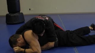 Grappling vs Wrestling  Martial Arts Lessons [upl. by Kerry]