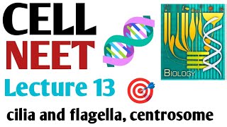 Cell  cilia and flagella centrosome Lecture 13 NCERT 11 BIOLOGY in a easy way [upl. by Yanal177]